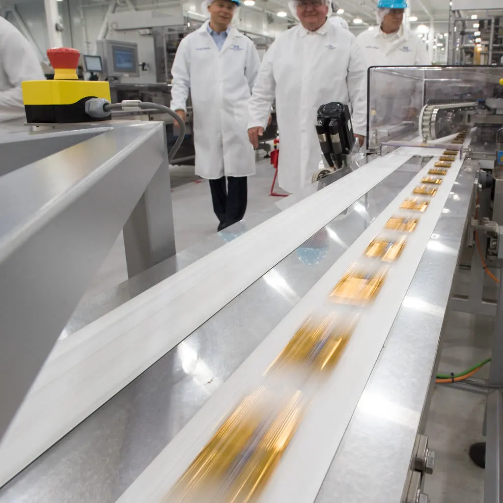 Packaged food products moving along a stainless steel production line